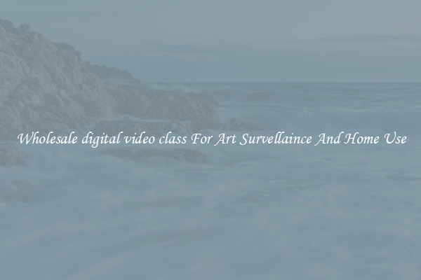 Wholesale digital video class For Art Survellaince And Home Use