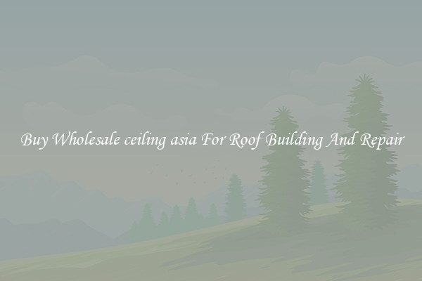 Buy Wholesale ceiling asia For Roof Building And Repair