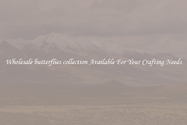 Wholesale butterflies collection Available For Your Crafting Needs