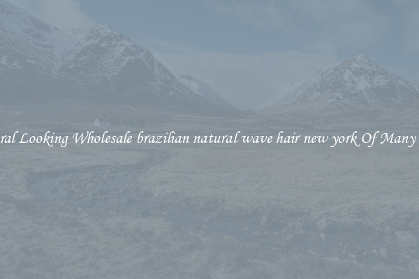 Natural Looking Wholesale brazilian natural wave hair new york Of Many Types