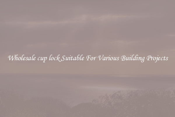 Wholesale cup lock Suitable For Various Building Projects