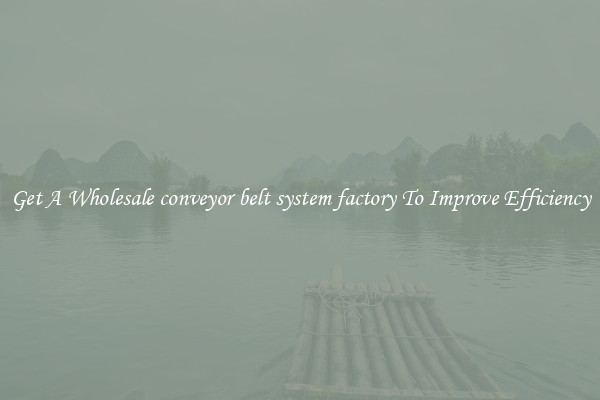 Get A Wholesale conveyor belt system factory To Improve Efficiency