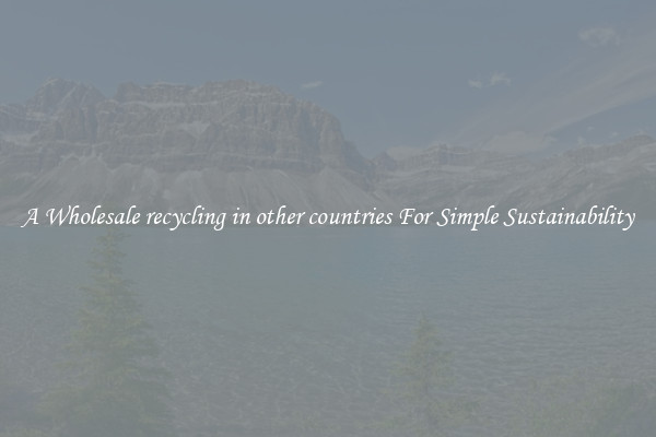  A Wholesale recycling in other countries For Simple Sustainability 