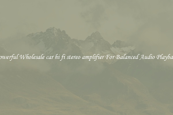 Powerful Wholesale car hi fi stereo amplifier For Balanced Audio Playback