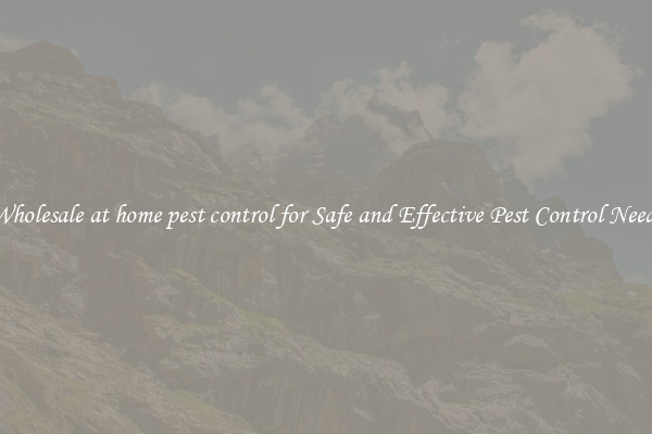 Wholesale at home pest control for Safe and Effective Pest Control Needs