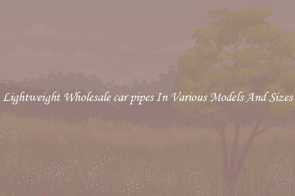 Lightweight Wholesale car pipes In Various Models And Sizes