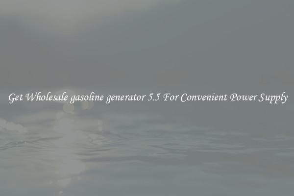 Get Wholesale gasoline generator 5.5 For Convenient Power Supply