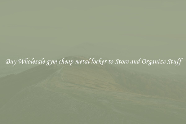 Buy Wholesale gym cheap metal locker to Store and Organize Stuff