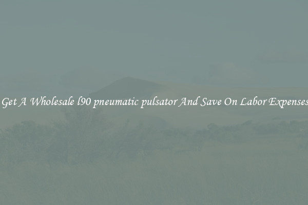 Get A Wholesale l90 pneumatic pulsator And Save On Labor Expenses
