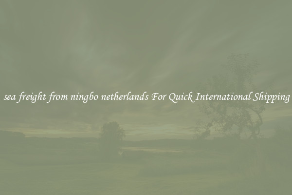 sea freight from ningbo netherlands For Quick International Shipping