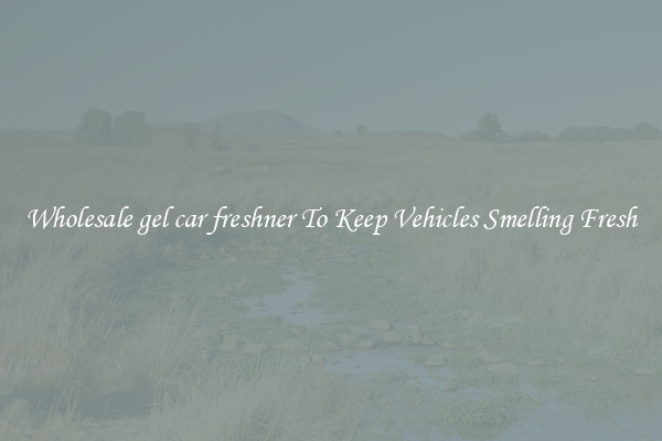 Wholesale gel car freshner To Keep Vehicles Smelling Fresh