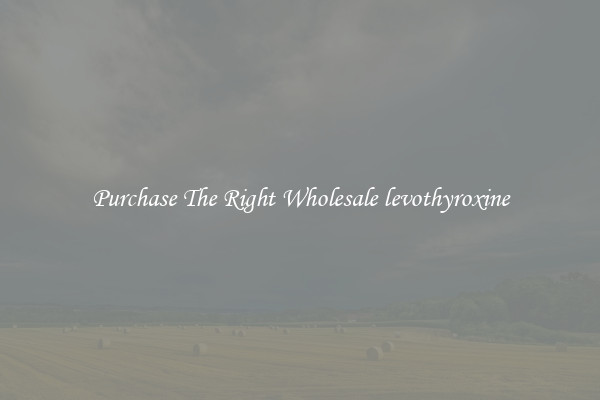 Purchase The Right Wholesale levothyroxine