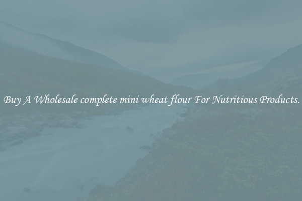 Buy A Wholesale complete mini wheat flour For Nutritious Products.