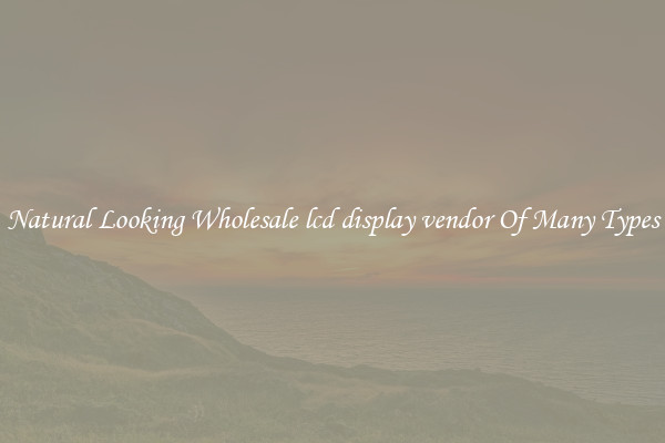 Natural Looking Wholesale lcd display vendor Of Many Types