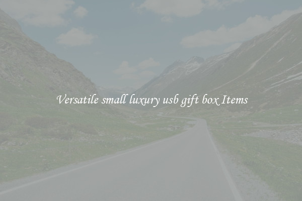 Versatile small luxury usb gift box Items
