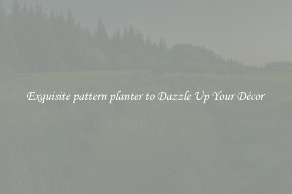 Exquisite pattern planter to Dazzle Up Your Décor 