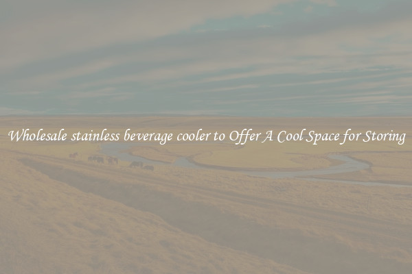 Wholesale stainless beverage cooler to Offer A Cool Space for Storing