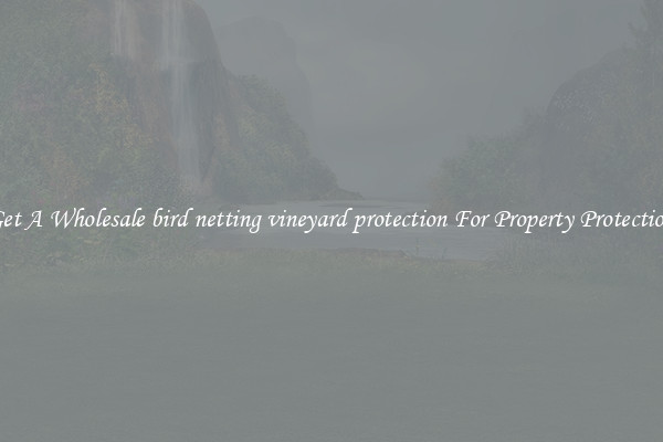 Get A Wholesale bird netting vineyard protection For Property Protection